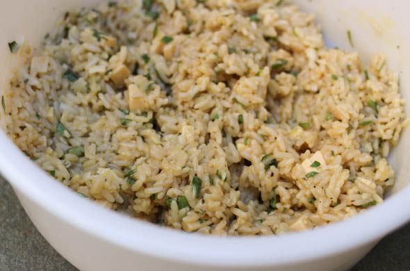 The Three Bite Rule - Crispy Rice Patties