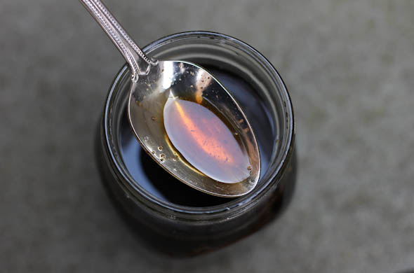 The Three Bite Rule - Gingerbread Syrup