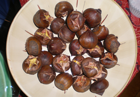 chestnuts_290_200