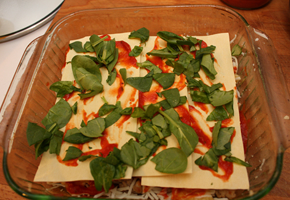 lasagna_spinach_290_200