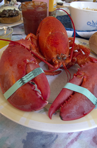 lobster_cooked_390_590
