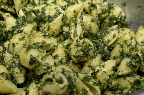 The Three Bite Rule - Roasted Kale Pesto Pasta Salad