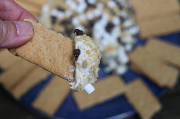 The Three Bite Rule - S'mores Dip